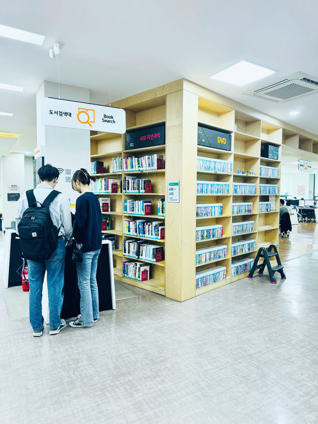 Discover Baedari’s Book Haven