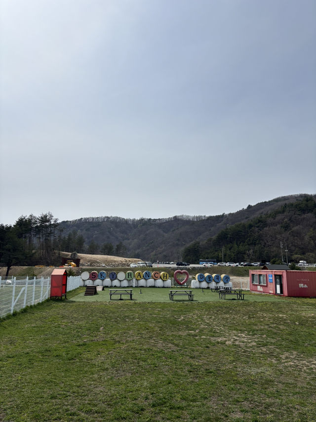 효도관광으로 가기 좋은 강원도 여행 코스⭐️