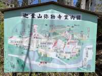 【日本三大天狗】6.5mの天狗面と10年に一度の大開張