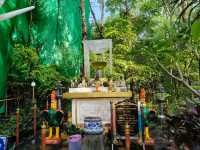 วัดสวยกลางหมอก @วัดป่าภูทับเบิก