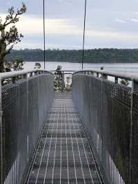 🇳🇿鈕西蘭 西海岸 Hokitika：海邊、森林、樹頂、藍河