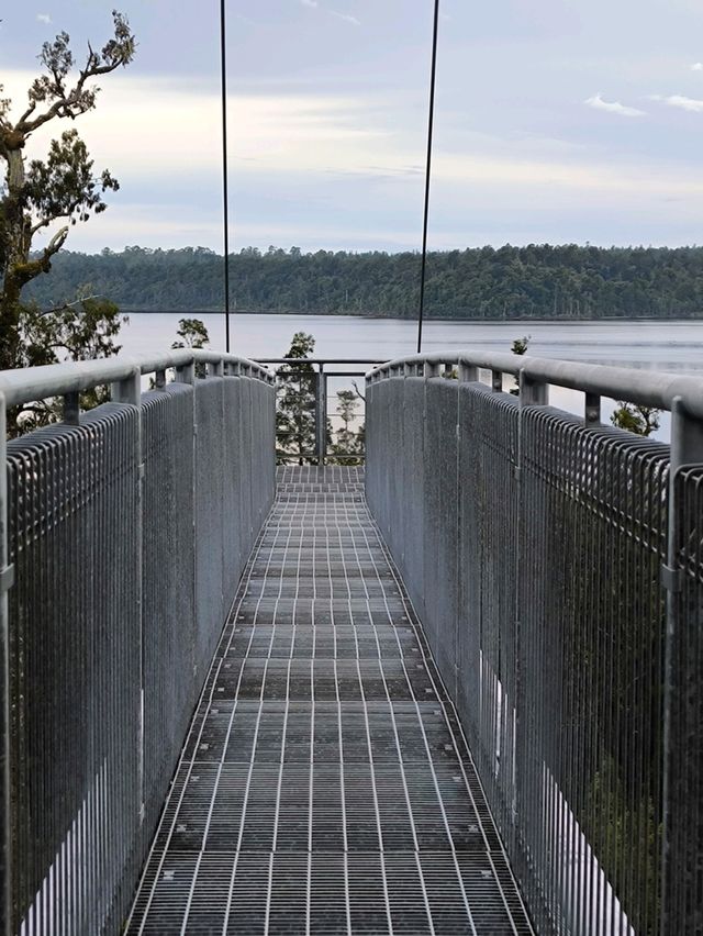 🇳🇿鈕西蘭 西海岸 Hokitika：海邊、森林、樹頂、藍河