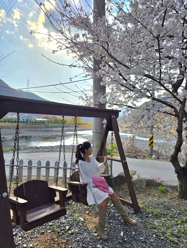 핑크무드 한가득 봄에 꼭 가야할 밀양여행코스🌸