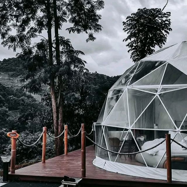 ได้เวลาออกไปหา (ภู) เขา เชียงใหม่ l 2วัน1คืน 🌿🍃