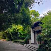 🌳運糧鄰畔公園🌳恬靜之美 🌅