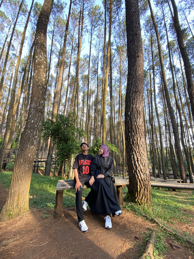 From Jogja with Love 