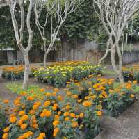 A Scented Escape at Rumah Atsiri 