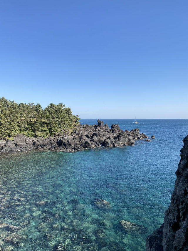 Jeju Daepo Jusangjeollidae: Coastal Columns of Wonder