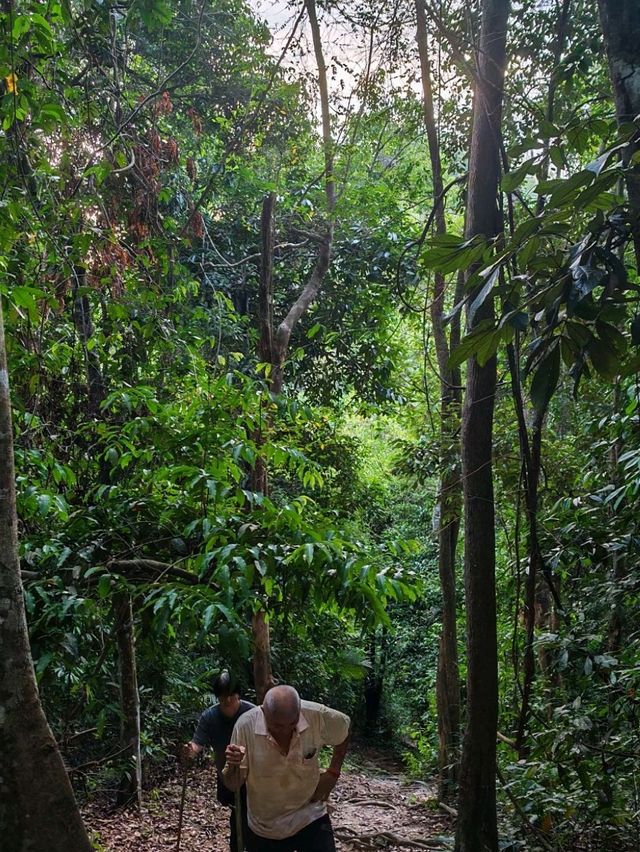 Evening Escape to Malau Hill: Jitra’s Hidden Sunset Spot