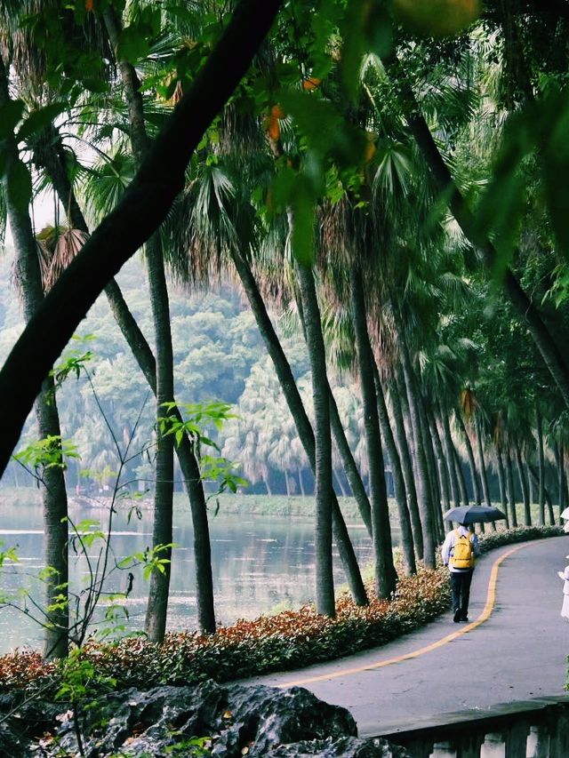 中國廣東肇慶旅行攻略，適合打卡拍照📸