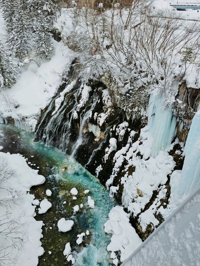 Frozen Beauty & Fairy Lights: Winter Road Trip from Asahikawa to Biei & Furano