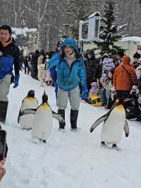 Asahikawa Winter Escape: Snow Sculptures, Penguins & Private Onsen Bliss
