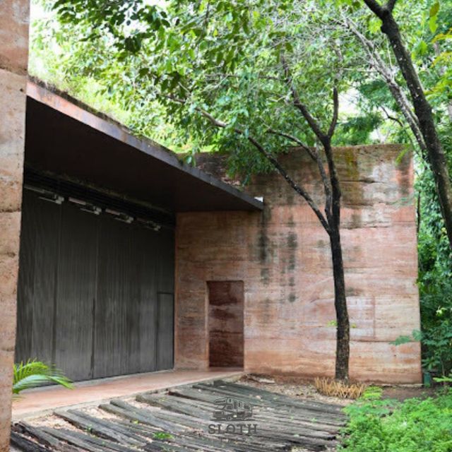 🌳 ไปเที่ยว ป่าในกรุง