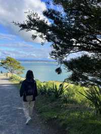 紐西蘭北島｜紐西蘭的藍，有一種叫 Tauranga｜小山丘看見漸層海灣