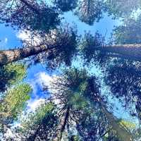 Yosemite National Park – CA