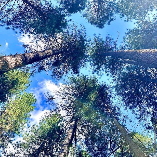 Yosemite National Park – CA