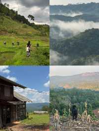 6 พิกัดเที่ยวธรรมชาติ จ.เชียงใหม่ 🏡⛰️🌦️🌳
