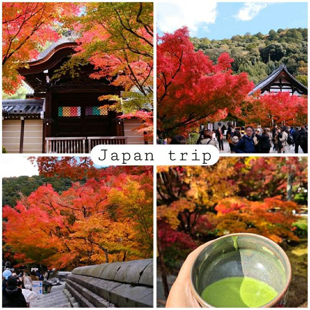 Eikando Temple