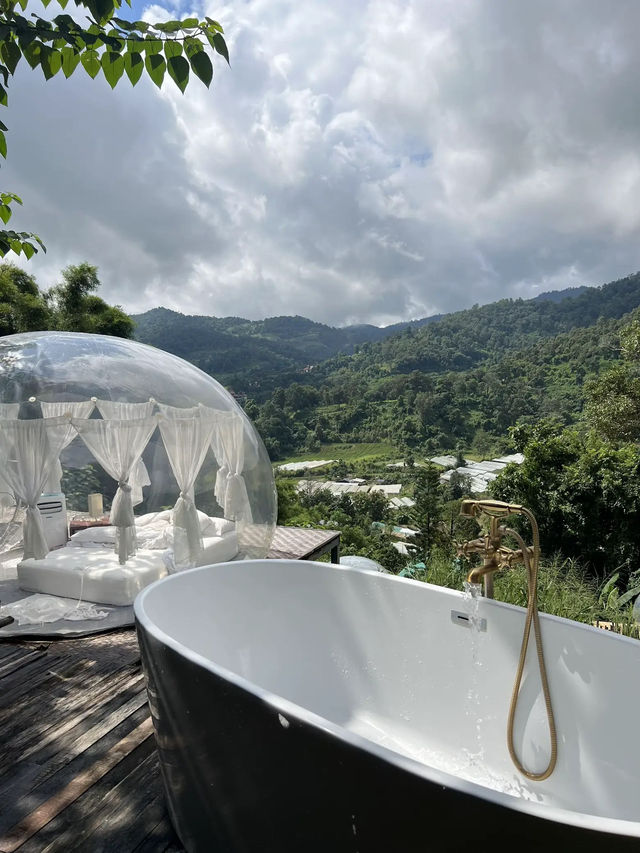 North Star Valley🌧️เชียงใหม่ฤดูฝน บับเบิลกลางป่า