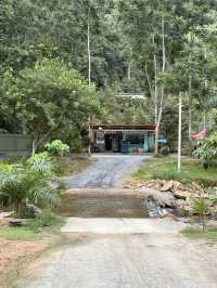 วังปริง แคมป์ ทุ่งสง 🏕️ - ที่พักติดลำธาร