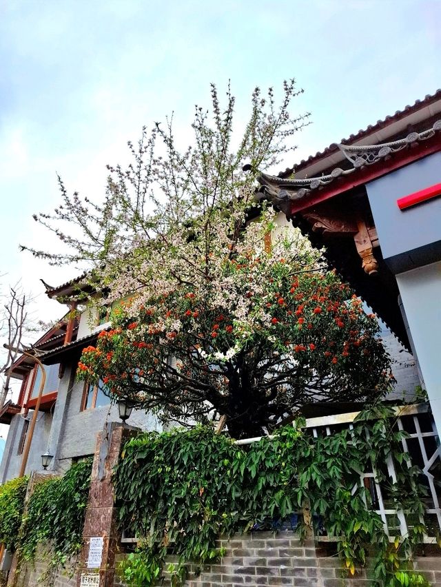Shuhe Ancient Town