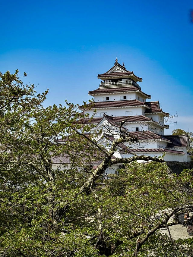 A Peaceful Stroll Through Aizuwakamatsu – Castles & Cake Breaks