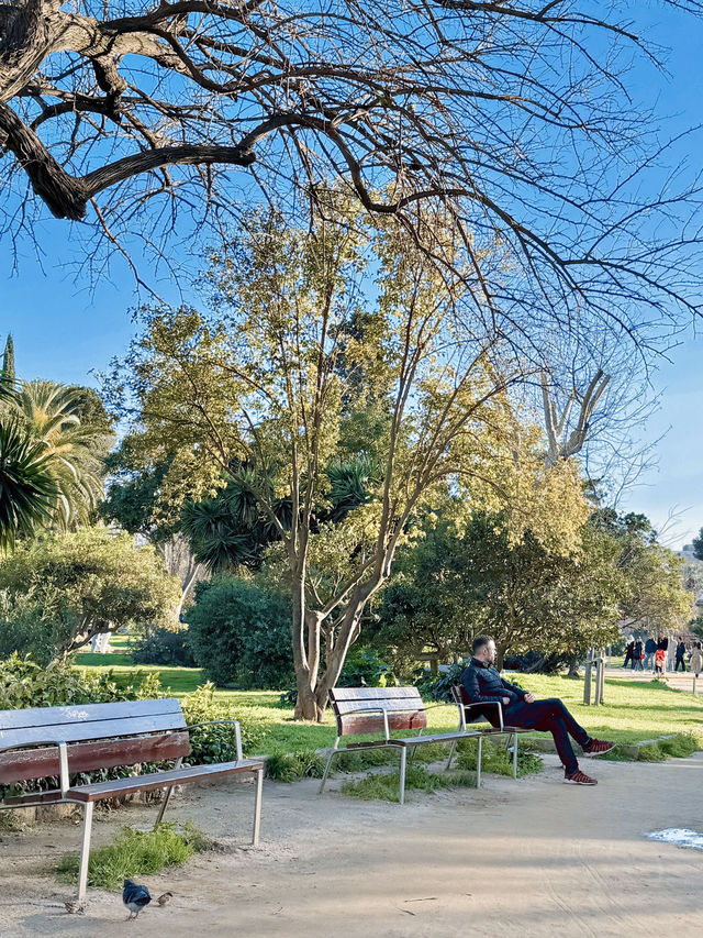 스페인 바르셀로나, 날씨 좋은 날 필수코스🌳