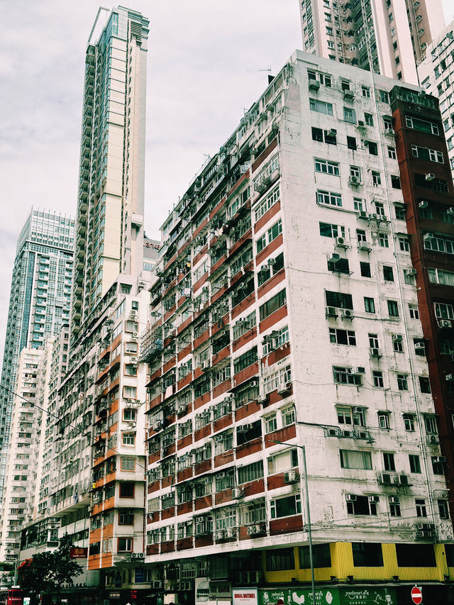 香港藍屋打卡攻略｜灣仔復古文化新地標