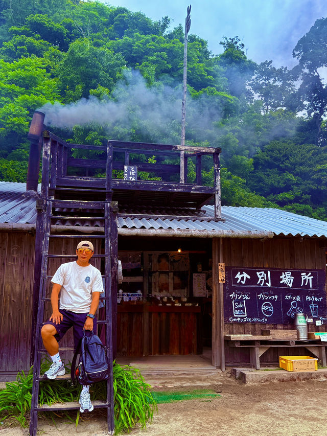 系島手工花鹽布丁，不畏路途遙，怕遠就吃不到了！