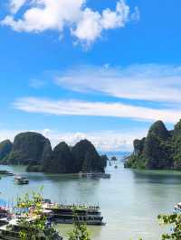 Escape Hanoi: A Magical Day Trip to Halong Bay 🛥️