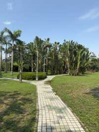 端午節好去處｜台北大安森林公園的節日體驗