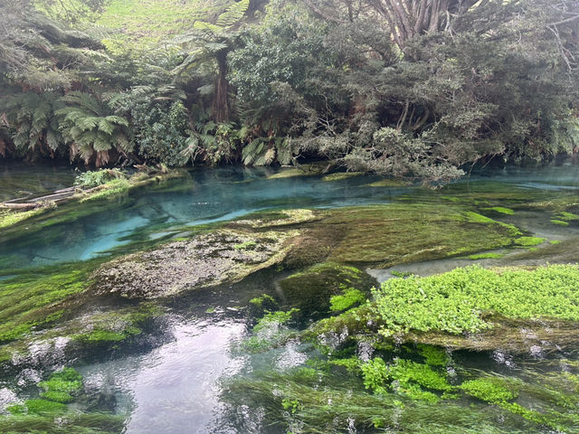 Blue Spring 