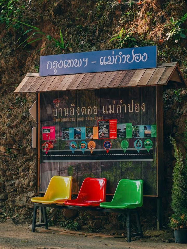 เดินชิลๆ สูดอากาศดีๆ ที่หมู่บ้านแม่กำปอง 🌿🌳•••••