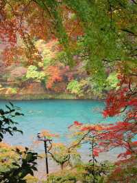 🍁ซักครั้งในชีวิต ฤดูใบไม้เปลี่ยนสี ต้องมาที่นี่!🍂