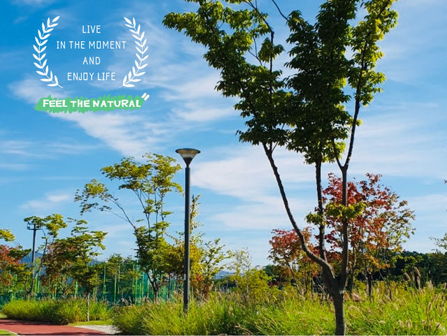 A Breath of Fresh Air at Misari Han River Park 4