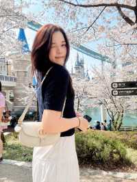 Seoul’s Secret Spring Kingdom – Castle & Blossoms