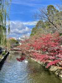 A Slow-Paced Day in Kurashiki – Where Tradition Meets Modern Charm