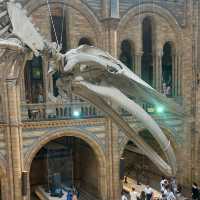 Natural History Museum, London