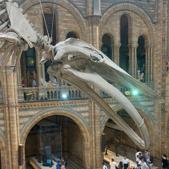 Natural History Museum, London