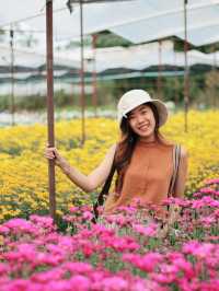 เที่ยวสวนบิ๊กเต้