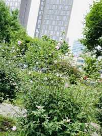 Hullyeonwon Park: A Historic Oasis in Seoul