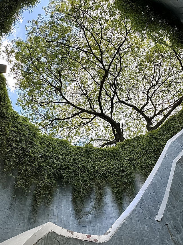 ทริปสิงคโปร์🇸🇬