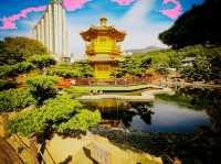 Tranquility in the Heart of the City 