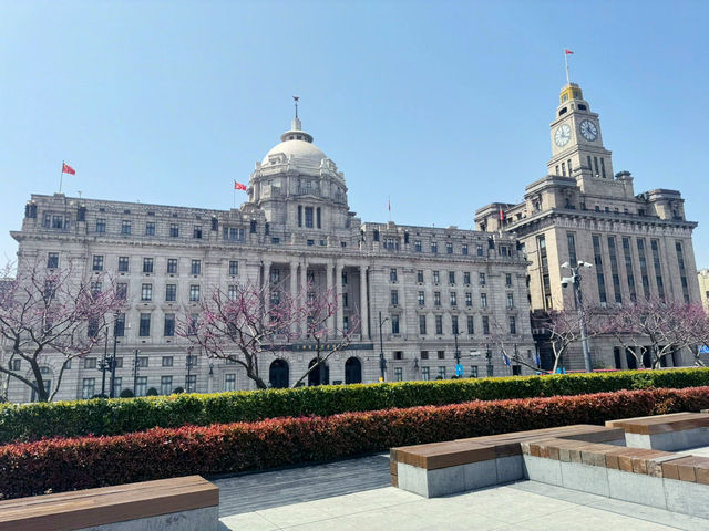 Top 3 Scenic Spots in Shanghai - Pedal or Walk through the charm of Shanghai . 