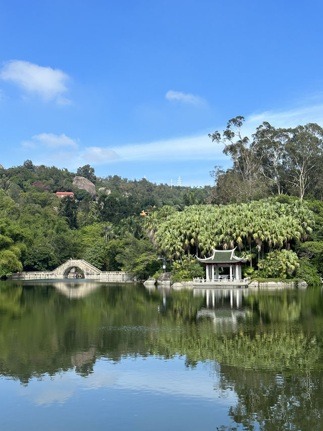 廈門園林植物園太美了