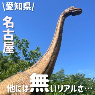 Exciting Dinosaur World