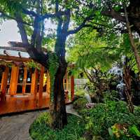 คาเฟ่สวนสวยในปั๊มน้ำมัน • FORTY-NINE เชียงใหม่