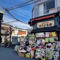 🏮 A Hidden Slice of Showa-Era Tokyo – Half-Day Trip to Shibamata