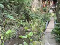 隱身山林的療癒小屋｜苗栗「桌也小屋」住宿體驗