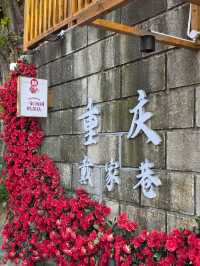 Chongqing Trip Recommendations